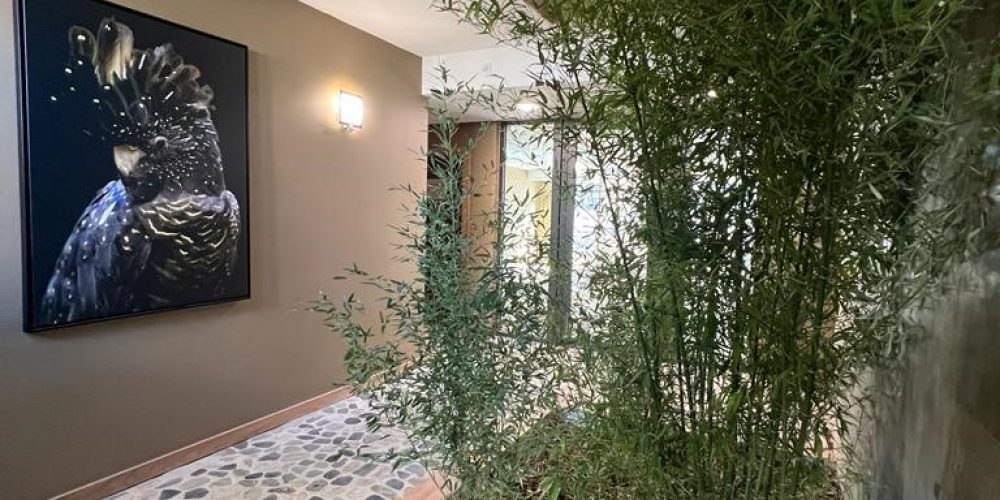 Ateliers 234 (Franck Tillequin architecte associé)